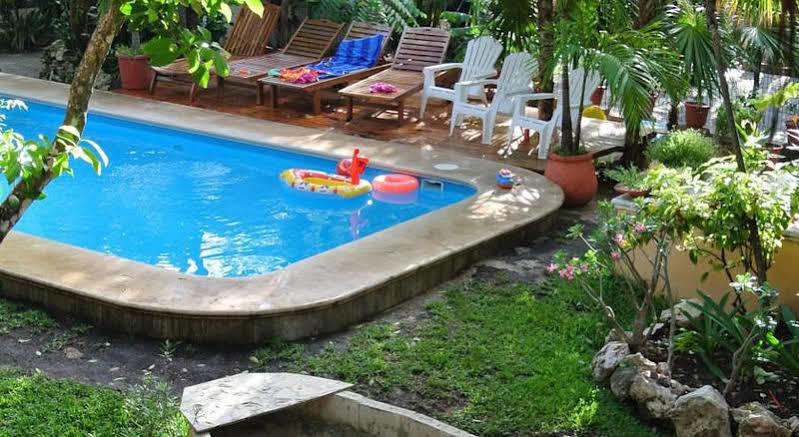 Koox City Garden Hotel 신데 델 카르멘 외부 사진